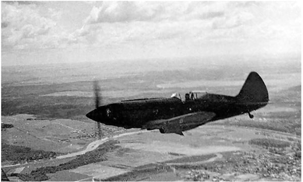 Иллюстрация к книге — Небо вторжения. Горячее лето 1941 года [i_109.jpg]