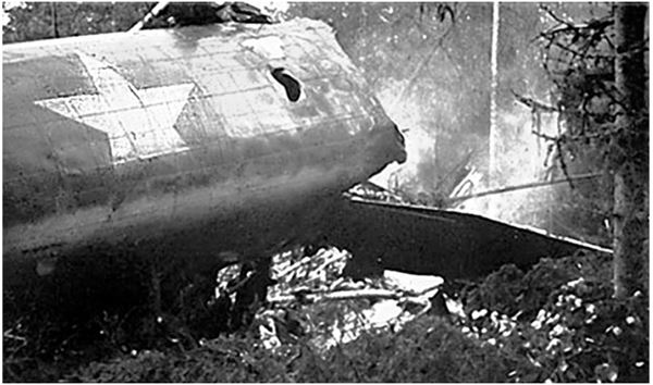 Иллюстрация к книге — Небо вторжения. Горячее лето 1941 года [i_113.jpg]