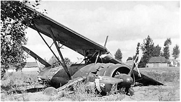 Иллюстрация к книге — Небо вторжения. Горячее лето 1941 года [i_126.jpg]