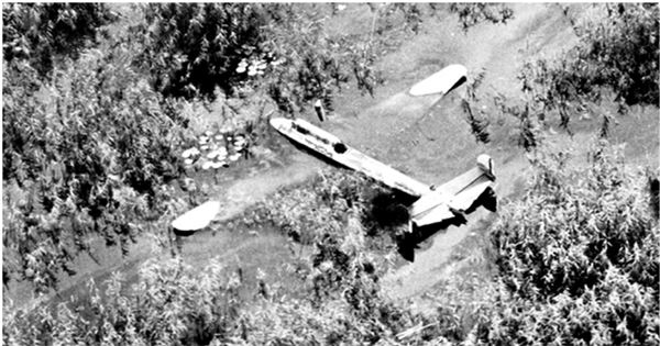 Иллюстрация к книге — Небо вторжения. Горячее лето 1941 года [i_177.jpg]