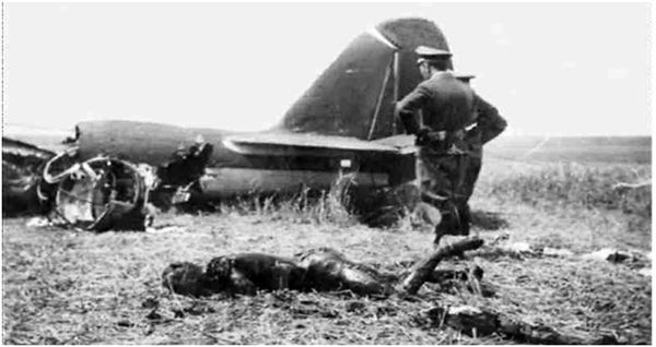 Иллюстрация к книге — Небо вторжения. Горячее лето 1941 года [i_187.jpg]