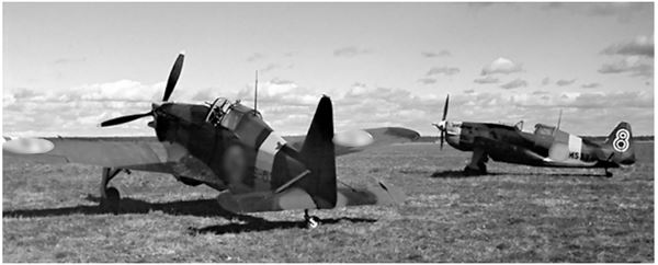 Иллюстрация к книге — Небо вторжения. Горячее лето 1941 года [i_199.jpg]