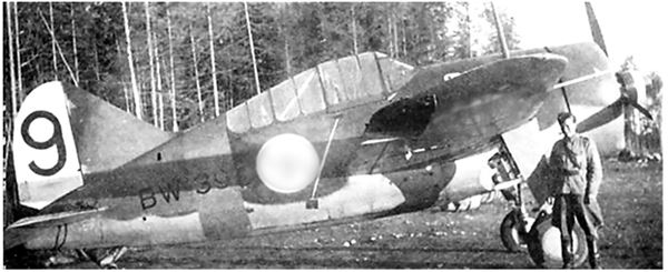 Иллюстрация к книге — Небо вторжения. Горячее лето 1941 года [i_201.jpg]