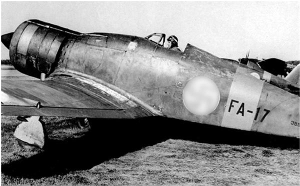 Иллюстрация к книге — Небо вторжения. Горячее лето 1941 года [i_202.jpg]