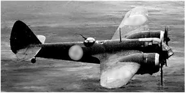 Иллюстрация к книге — Небо вторжения. Горячее лето 1941 года [i_205.jpg]