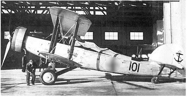 Иллюстрация к книге — Небо вторжения. Горячее лето 1941 года [i_226.jpg]