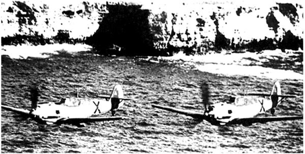 Иллюстрация к книге — Небо вторжения. Горячее лето 1941 года [i_231.jpg]