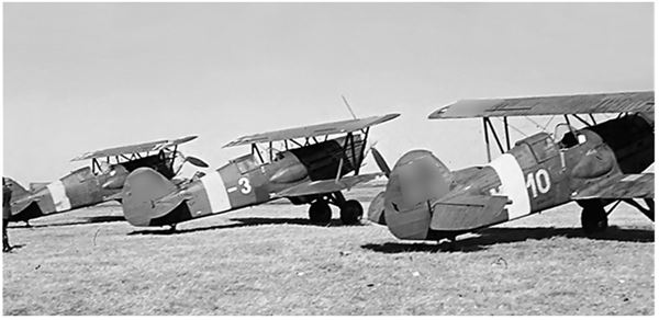 Иллюстрация к книге — Небо вторжения. Горячее лето 1941 года [i_238.jpg]