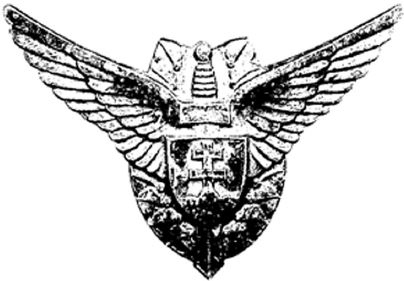 Иллюстрация к книге — Небо вторжения. Горячее лето 1941 года [i_239.jpg]