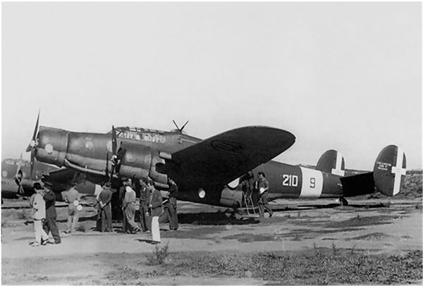 Иллюстрация к книге — Небо вторжения. Горячее лето 1941 года [i_242.jpg]