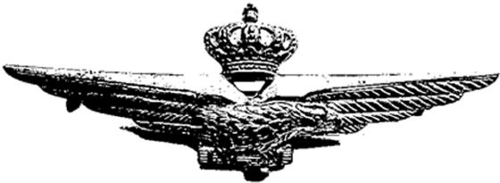 Иллюстрация к книге — Небо вторжения. Горячее лето 1941 года [i_244.jpg]