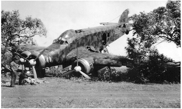 Иллюстрация к книге — Небо вторжения. Горячее лето 1941 года [i_245.jpg]