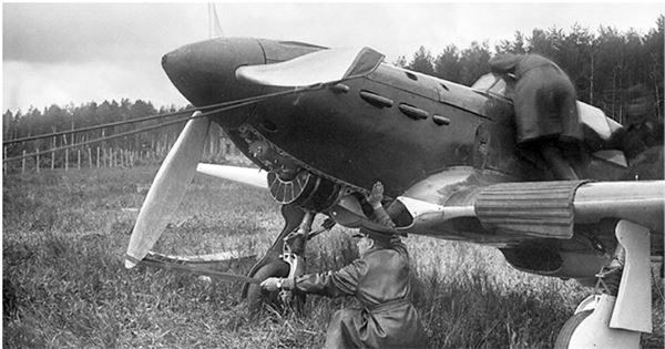 Иллюстрация к книге — Небо вторжения. Горячее лето 1941 года [i_251.jpg]