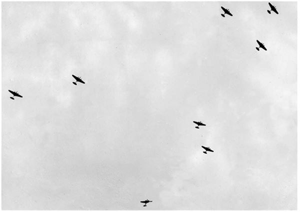 Иллюстрация к книге — Небо вторжения. Горячее лето 1941 года [i_253.jpg]