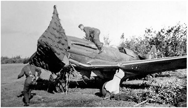 Иллюстрация к книге — Небо вторжения. Горячее лето 1941 года [i_268.jpg]