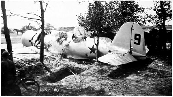 Иллюстрация к книге — Небо вторжения. Горячее лето 1941 года [i_271.jpg]