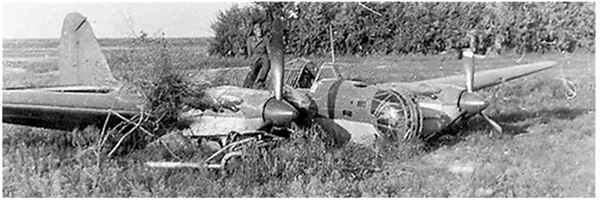 Иллюстрация к книге — Небо вторжения. Горячее лето 1941 года [i_299.jpg]