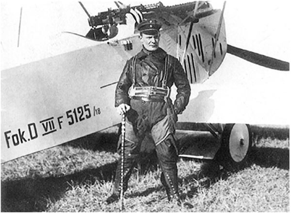 Иллюстрация к книге — Небо вторжения. Горячее лето 1941 года [i_388.jpg]