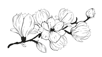 Иллюстрация к книге — Цветок империи [i_002.jpg]