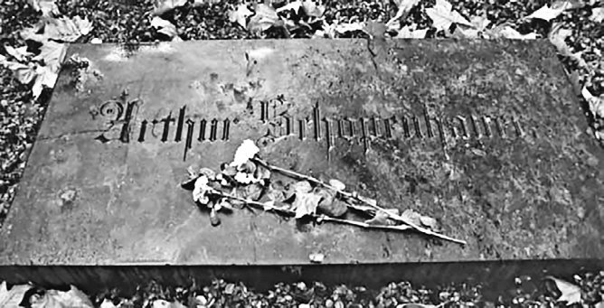 Иллюстрация к книге — Страдания мира. Жизнь качается между пустотой и скукой [i000008450000.jpg]