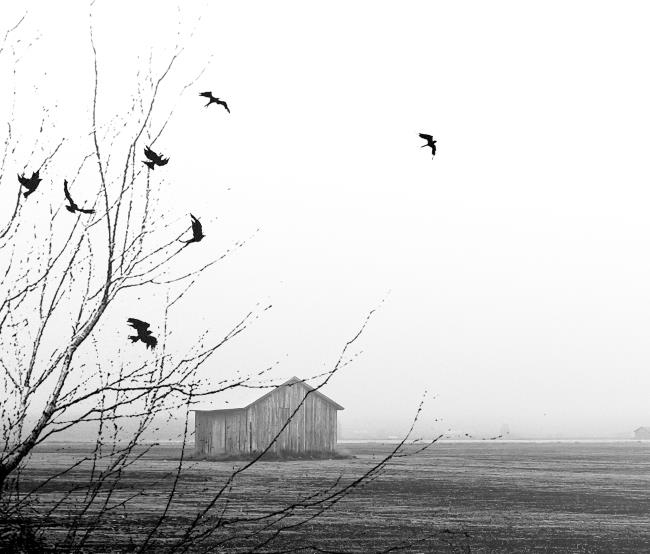 Иллюстрация к книге — Дом пустых сновидений [i_001.jpg]