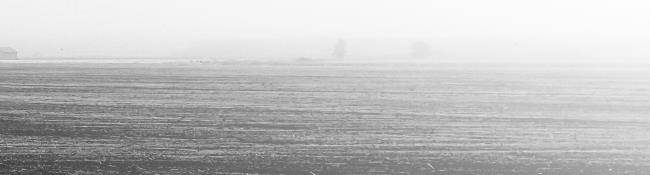 Иллюстрация к книге — Дом пустых сновидений [i_002.jpg]