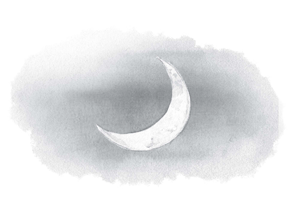 Иллюстрация к книге — Как я стал псом по кличке Сумрак [i_001.jpg]