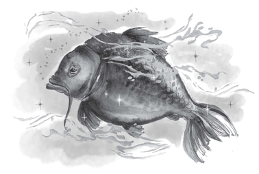 Иллюстрация к книге — Как я стал псом по кличке Сумрак [i_003.jpg]