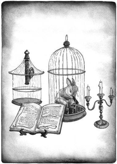 Иллюстрация к книге — Как я стал псом по кличке Сумрак [i_008.jpg]