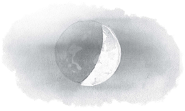 Иллюстрация к книге — Как я стал псом по кличке Сумрак [i_009.jpg]