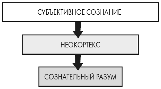 Иллюстрация к книге — Развивай свой мозг. Как перенастроить разум и реализовать собственный потенциал [i_004.jpg]