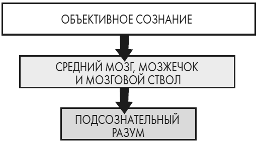 Иллюстрация к книге — Развивай свой мозг. Как перенастроить разум и реализовать собственный потенциал [i_005.jpg]
