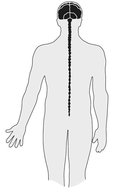 Иллюстрация к книге — Развивай свой мозг. Как перенастроить разум и реализовать собственный потенциал [i_011.jpg]