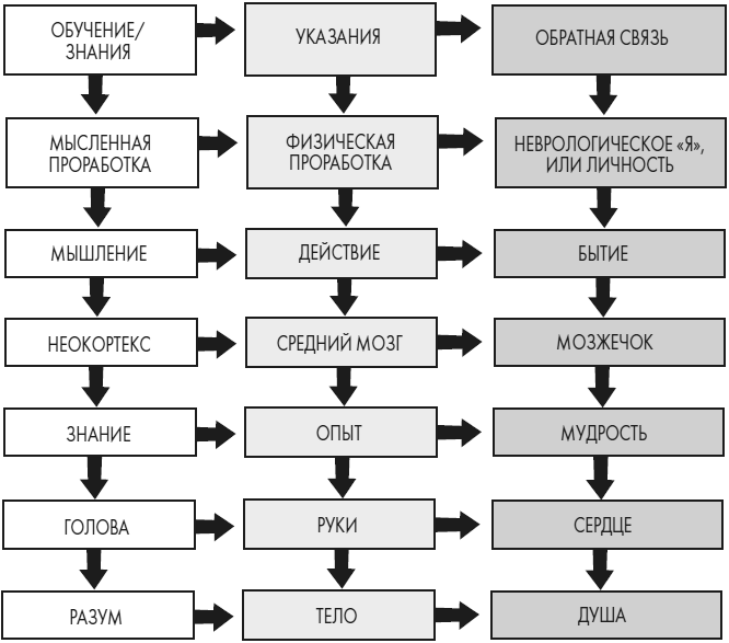 Иллюстрация к книге — Развивай свой мозг. Как перенастроить разум и реализовать собственный потенциал [i_043.jpg]