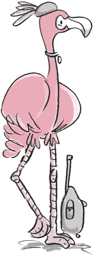 Иллюстрация к книге — Отель «Фламинго» [i_118.jpg]