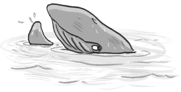 Иллюстрация к книге — Отель «Фламинго». Пингвины требуют льда! [i_036.jpg]