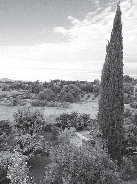 Иллюстрация к книге — Преданность. Год Обезьяны [i_010.jpg]