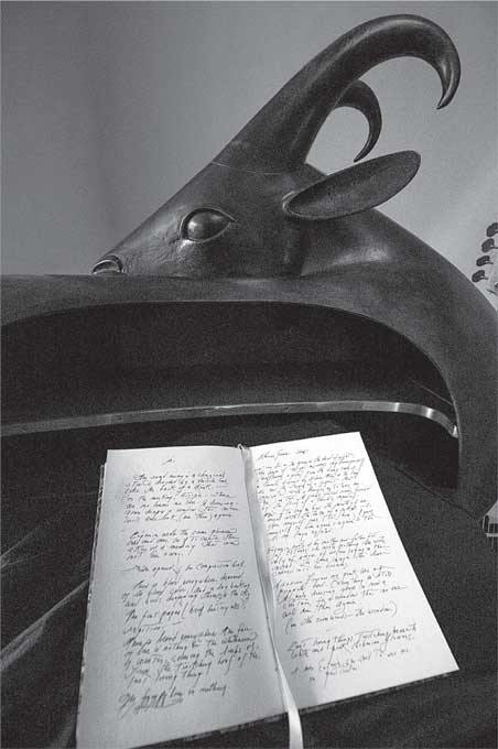 Иллюстрация к книге — Преданность. Год Обезьяны [i_011.jpg]