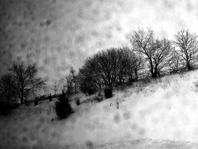 Иллюстрация к книге — Преданность. Год Обезьяны [i_015.jpg]