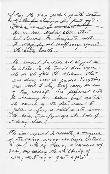 Иллюстрация к книге — Преданность. Год Обезьяны [i_021.jpg]