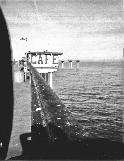 Иллюстрация к книге — Преданность. Год Обезьяны [i_027.jpg]