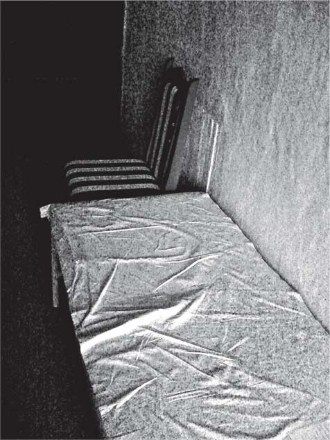 Иллюстрация к книге — Преданность. Год Обезьяны [i_028.jpg]