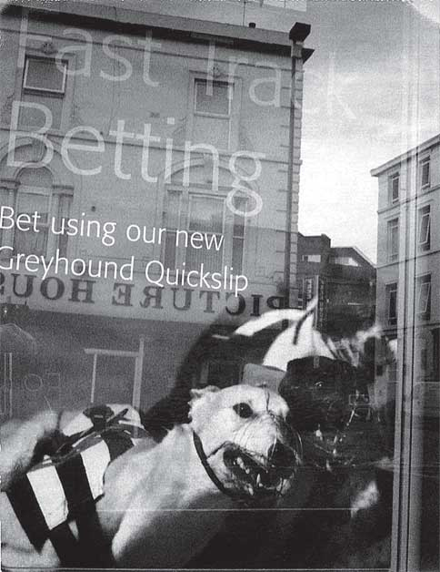 Иллюстрация к книге — Преданность. Год Обезьяны [i_029.jpg]