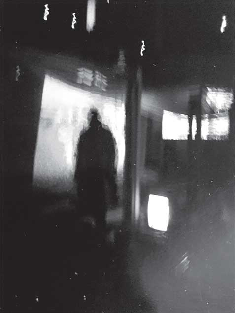 Иллюстрация к книге — Преданность. Год Обезьяны [i_043.jpg]