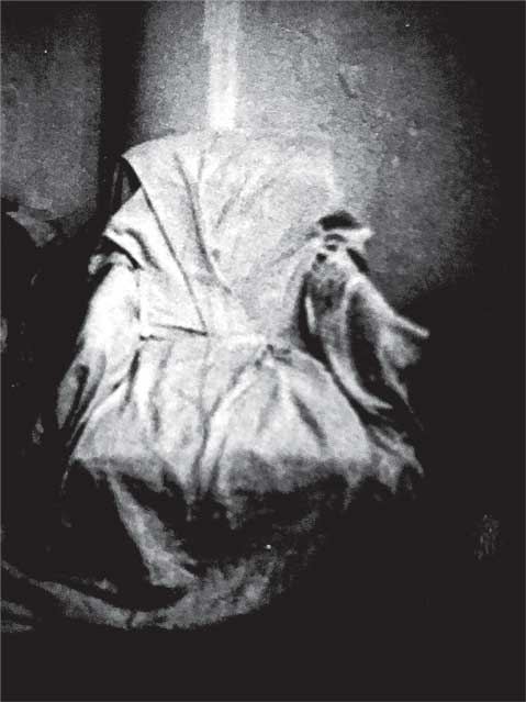 Иллюстрация к книге — Преданность. Год Обезьяны [i_044.jpg]