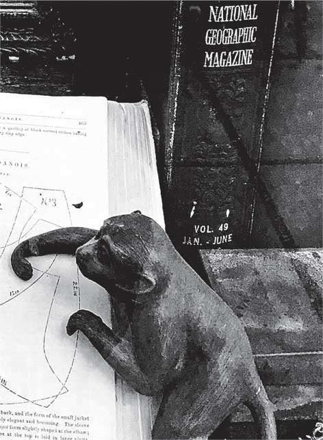 Иллюстрация к книге — Преданность. Год Обезьяны [i_045.jpg]