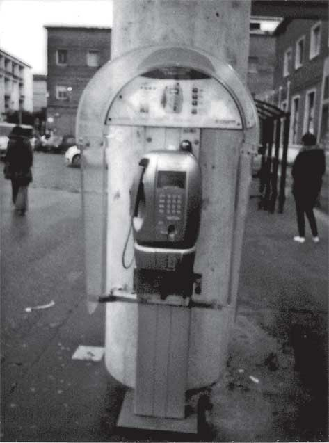 Иллюстрация к книге — Преданность. Год Обезьяны [i_055.jpg]