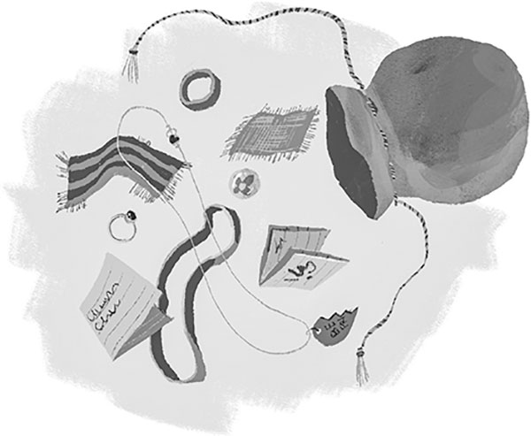 Иллюстрация к книге — Странные дела в отеле «Зимний дом» [i_056.jpg]