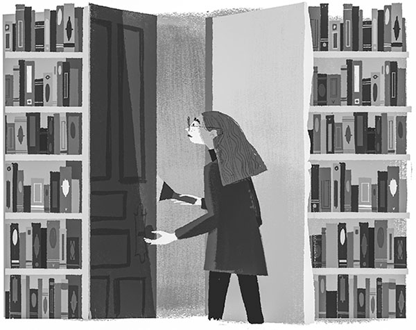 Иллюстрация к книге — Странные дела в отеле «Зимний дом» [i_074.jpg]