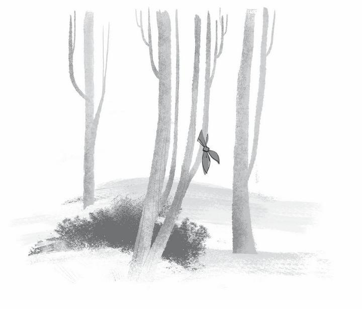 Иллюстрация к книге — Диковинные загадки отеля «Зимний дом» [i_003.jpg]